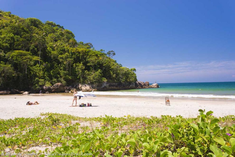 Imagem da vegetação rasteira e das pedras do canto da praia.